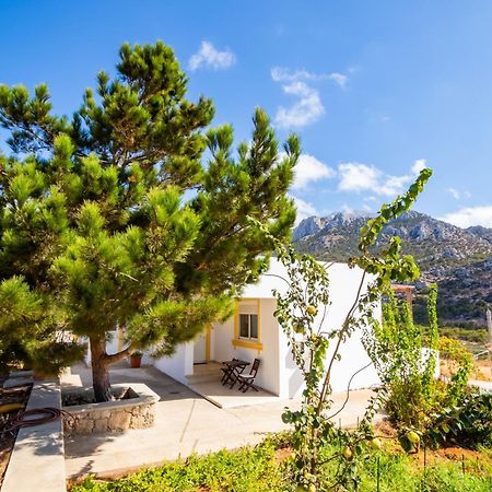 Dream Villas Lefkos  Ngoại thất bức ảnh